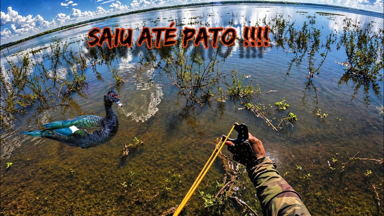Fui Pescar e Olha o Que Saiu… Até Pato!