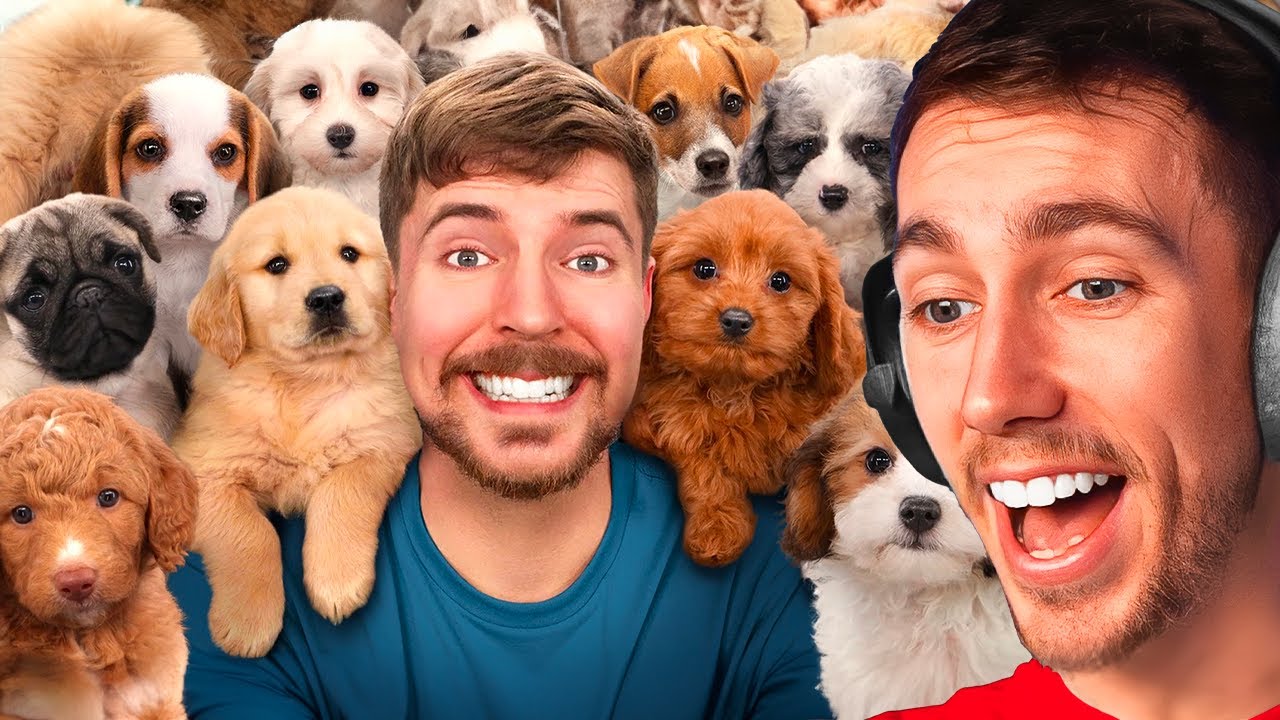 Reacting To 