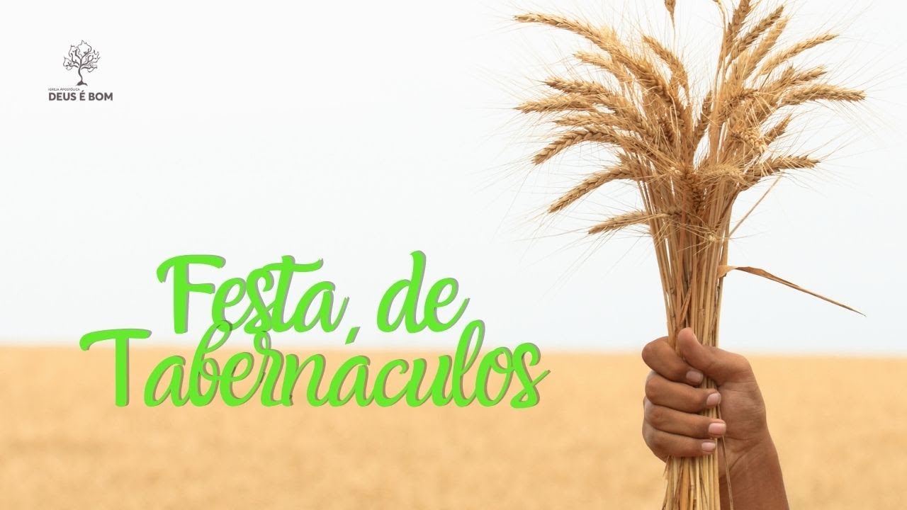Festa de Tabern&aacute;culos | IADBOM