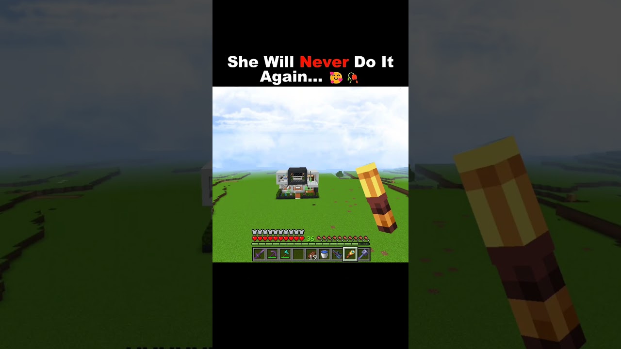 Creeper will never do it again...🥰🥀