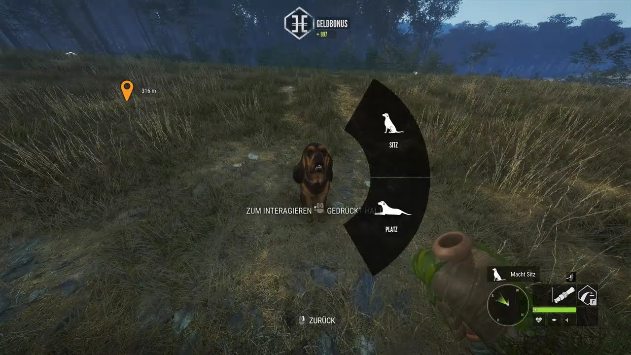 theHunter Call of the Wild (Te Awaroa )(4K) RotHirsch Omg LvL 8-9-8
