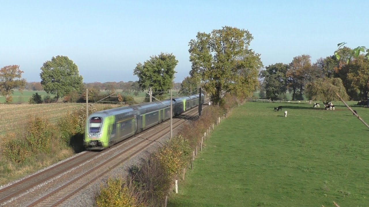 Herbst an der Jütlandlinie | 112 180 bei ihren letzten Fahrten, Güterzüge und mehr