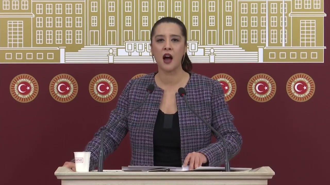 Sevda Karaca - 11 Aralık 2025 - Basın Toplantısı