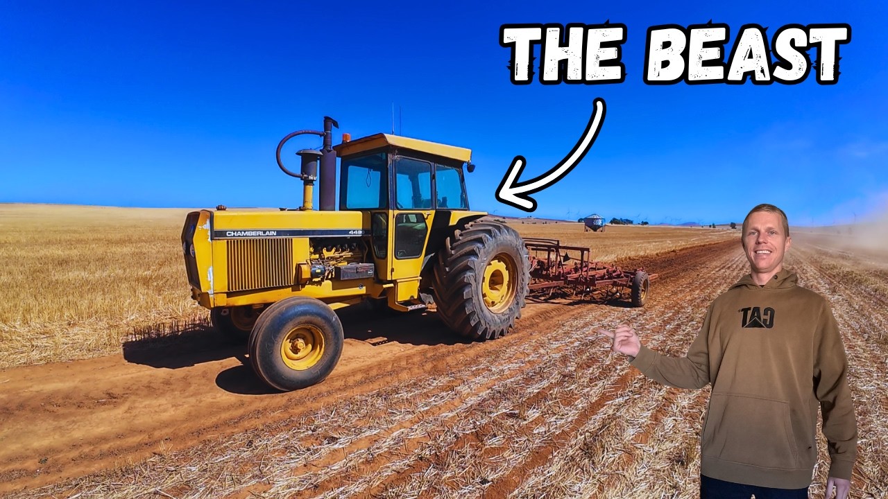 For My Next Job I Need To Release The Beast | Fence Romval & Header Repairs