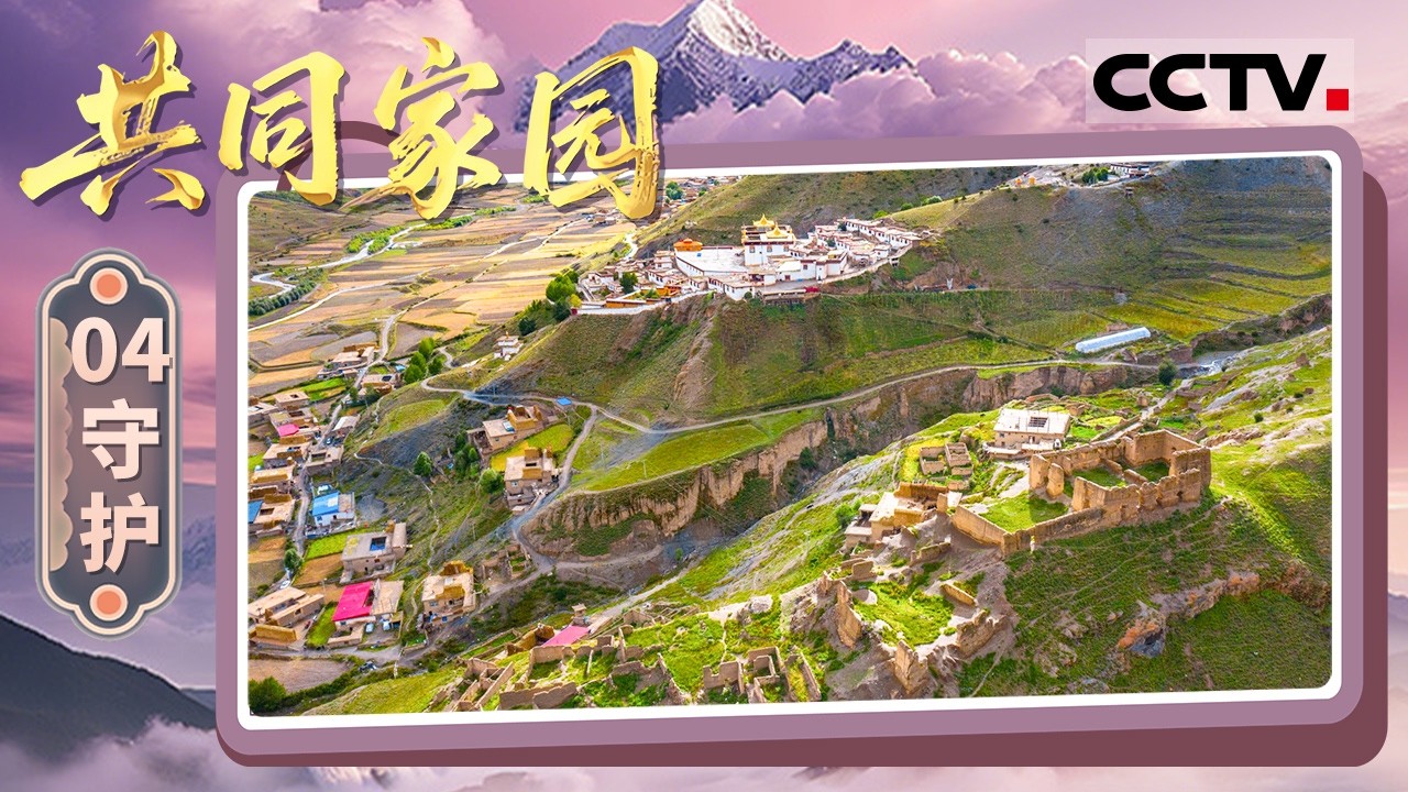 《共同家园》04 守护：从九世班禅宣化到全民抗战 藏汉同胞共渡难关 见证了血脉相连的永恒守护【CCTV纪录】
