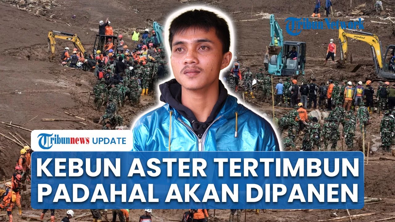 Kisah Hadiansyah: Kebun Bunga Aster yang Diterjang Longsor Cisarua, Tapi Rumah Berdiri Kokoh
