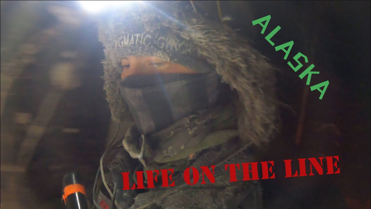 Alaska Wolverine and Wolf Trapping 2023 (Episode 8)
