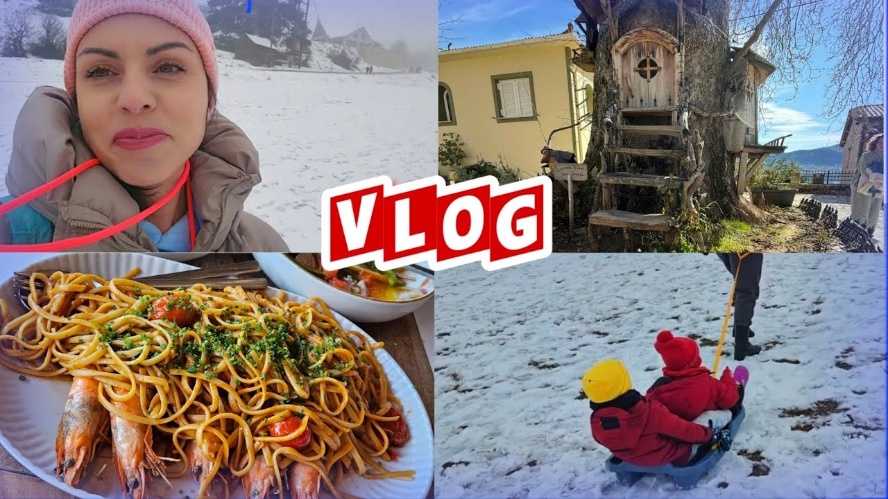 4 ΜΕΡΕΣ ΑΠΟ 2⁰C έως 18⁰C !! 🥵🥶VLOG ΤΡΙΚΑΛΑ - ΞΥΛΟΚΑΣΤΡΟ !  gri_cat_