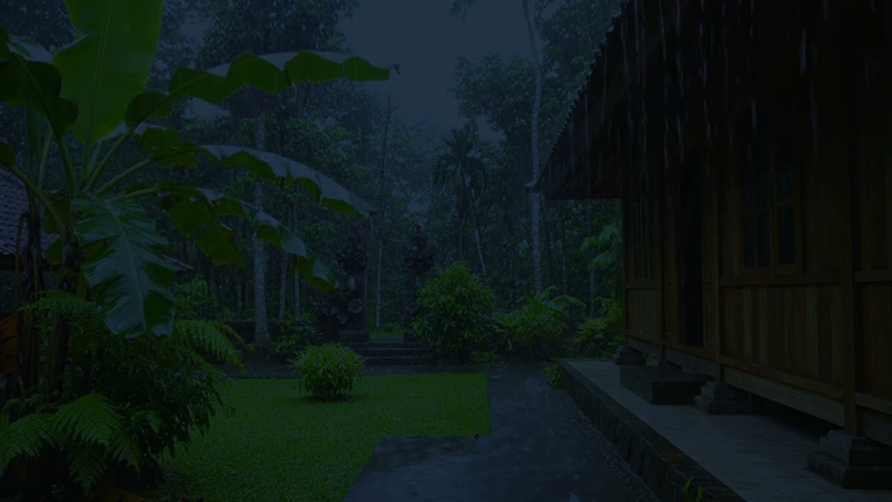 Deep Forest Rain Sounds for Sleeping & Study | Realistic Rain on Wooden House | 3 Hours