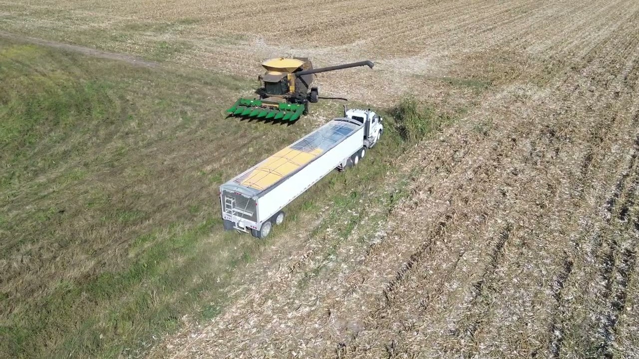 Corn Harvest on Kevin Phillips Farm 2025