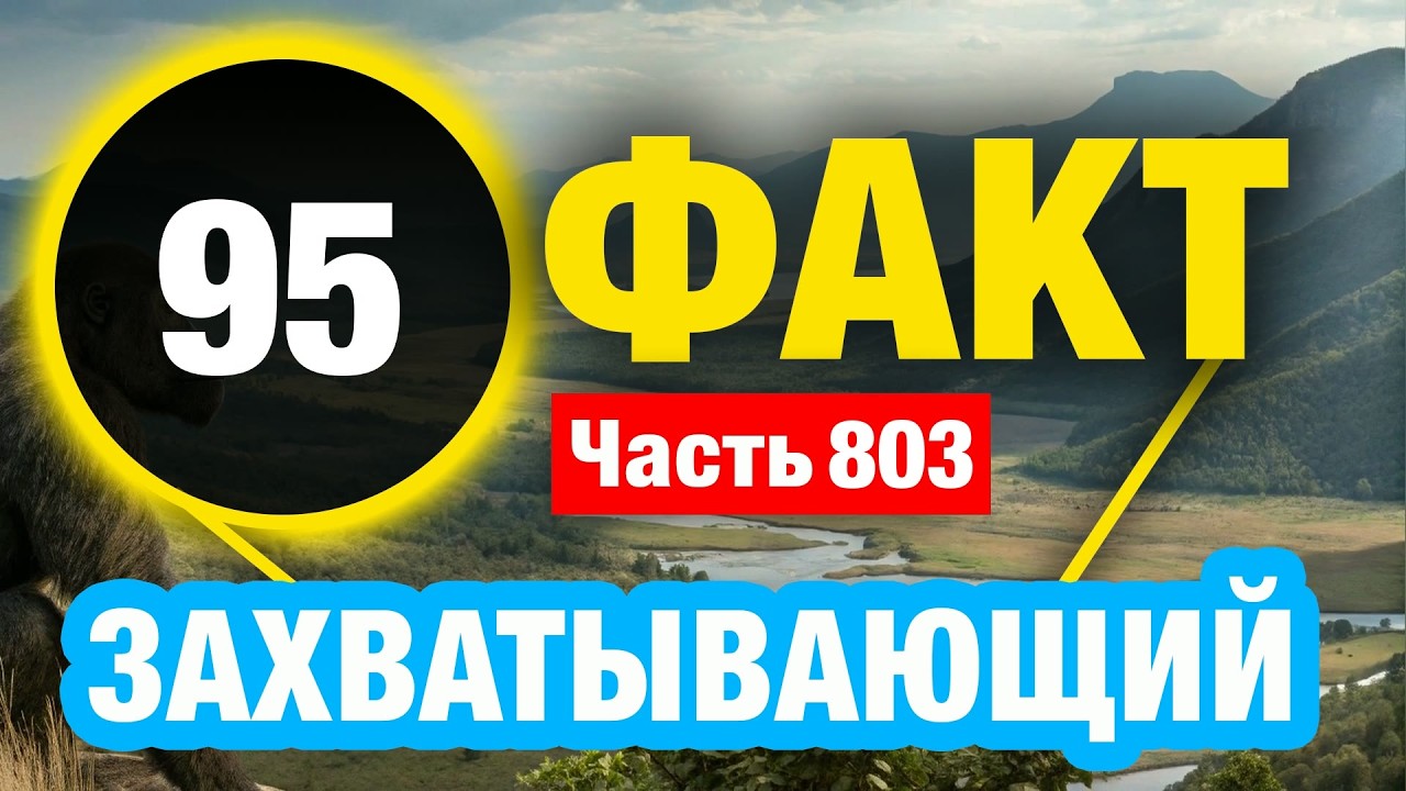 95 Феноменальный Факт Который Сделает Вас Умнее