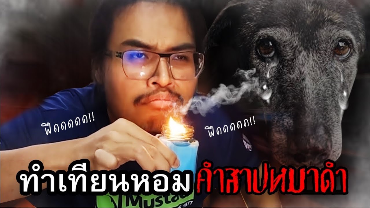 เทียนน้ำตาหมาดำต้องสาป ของบ่าวบูม