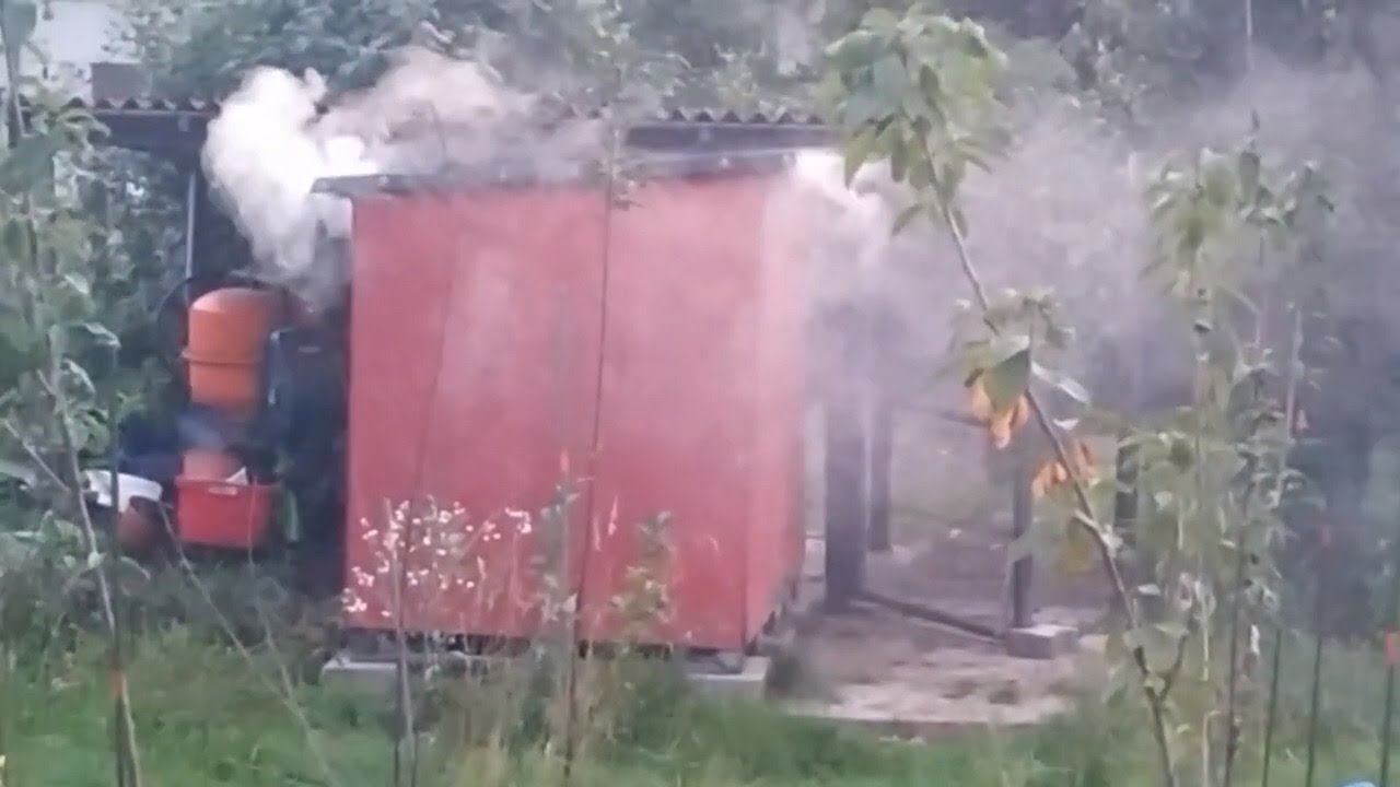 Co to jest ptaszyniec kurzy - diatomit, lubisan piórojady, PhytoDerm liquide, wrotycz, Fumagri OPP