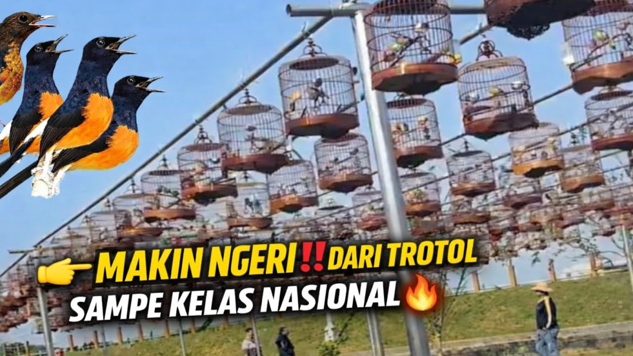 GILA… MAKIN NGERI‼️TROTOL SAMPE MURAI KELAS NASIONAL ADA SEMUA DI KIOS INI 🔥