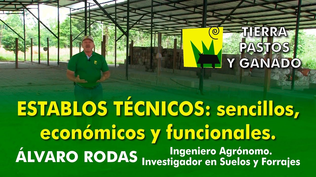 Establos con Confort: sencillos, económicos y funcionales para el bienestar animal y de su bolsillo