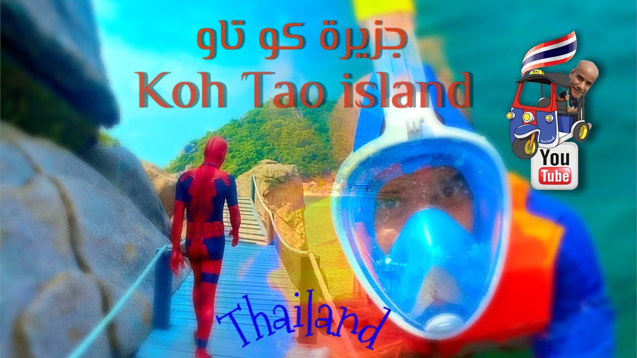 تايلاند جزيرة كو تاو | Thailand koh Tao