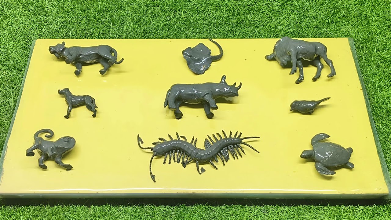 Dirty Toy ➜ Real Animal ✨ | Fun Toy Wash  | Satisfying Wash Transformation | WASH & MAGIC #22