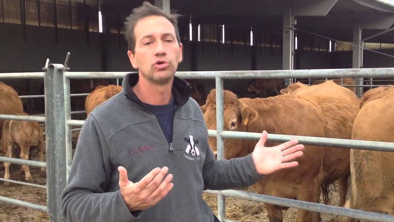 Allevamento Etico visita in azienda a Bordona Farm