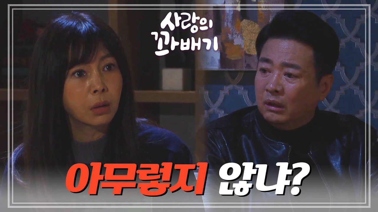 ＂넌 어떻게 그렇게 아무렇지 않냐?＂장세현의 두 집 살림에도 아무렇지도 않은 황신혜 [사랑의 꽈배기] | KBS 220324 방송