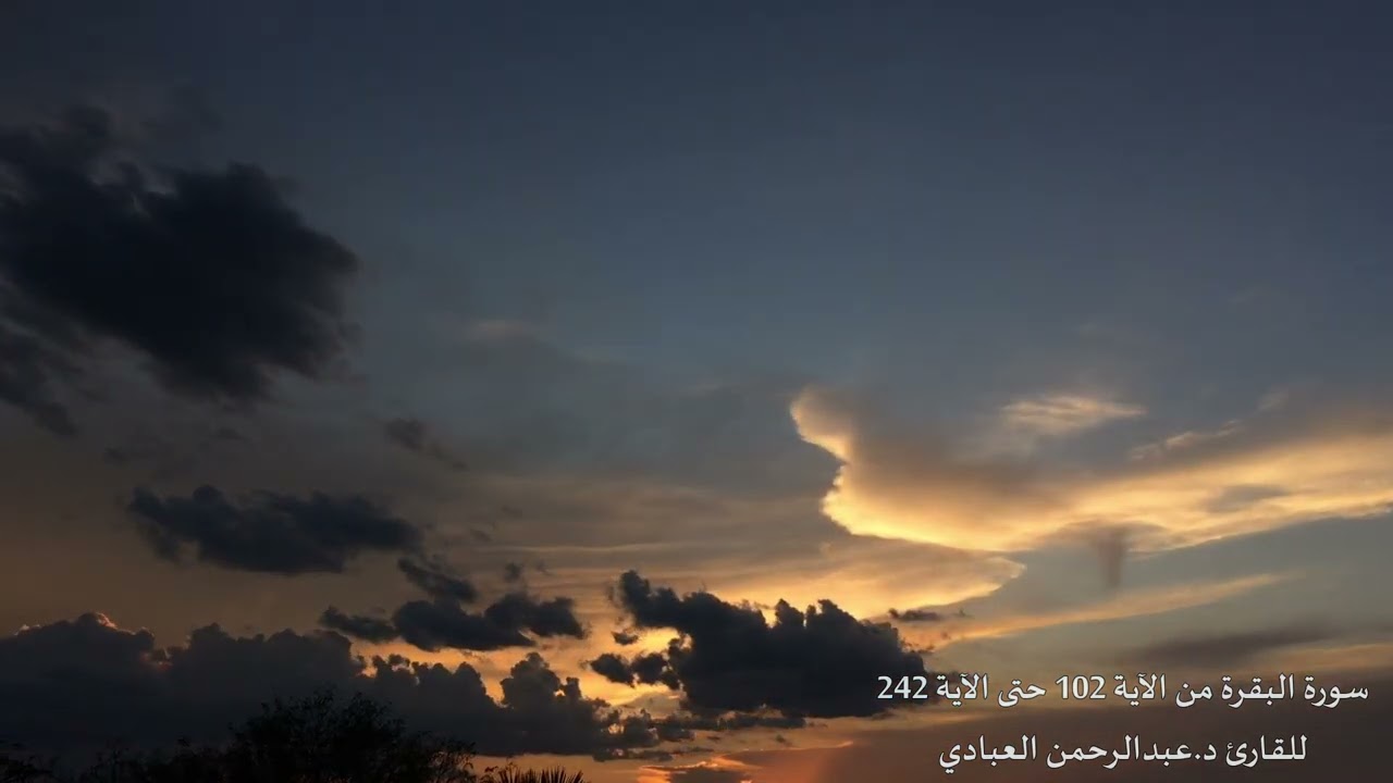 سورة البقرة من آية 102 حتى الآية 242 للقارئ د.عبدالرحمن العبادي
