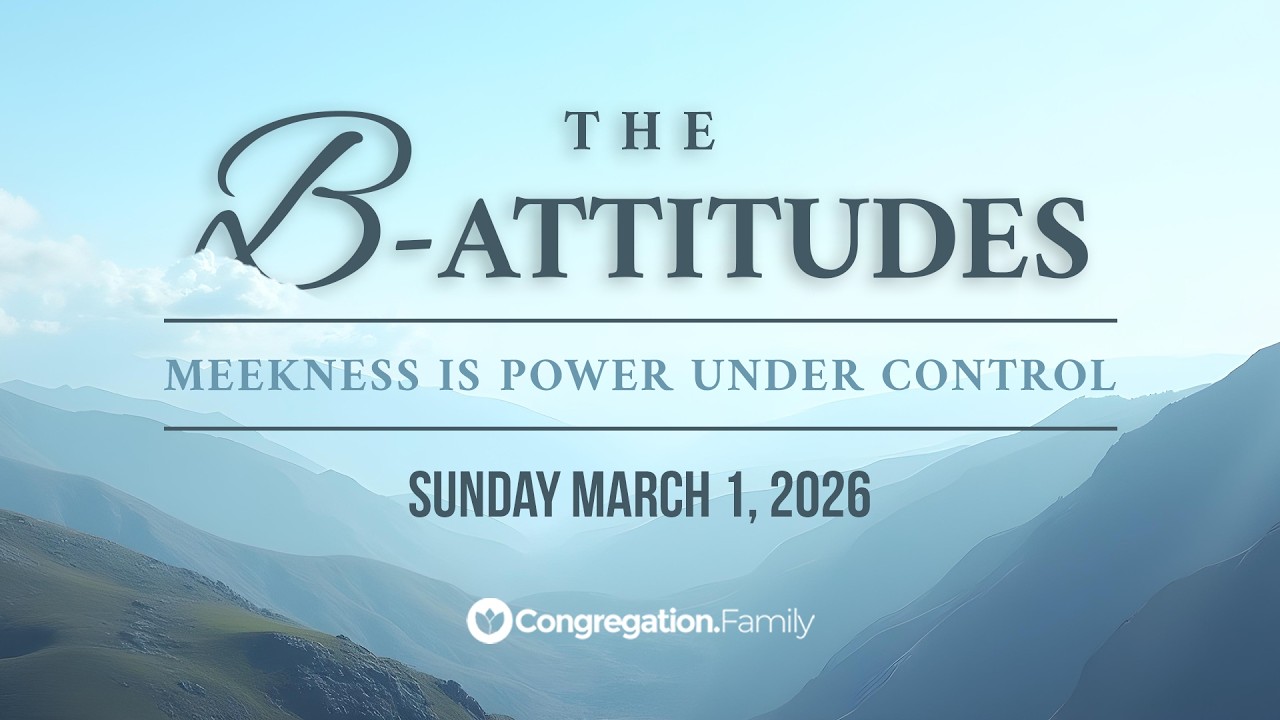 Stefan Junaeus // The B-Attitudes // Meekness Is Power Under Control