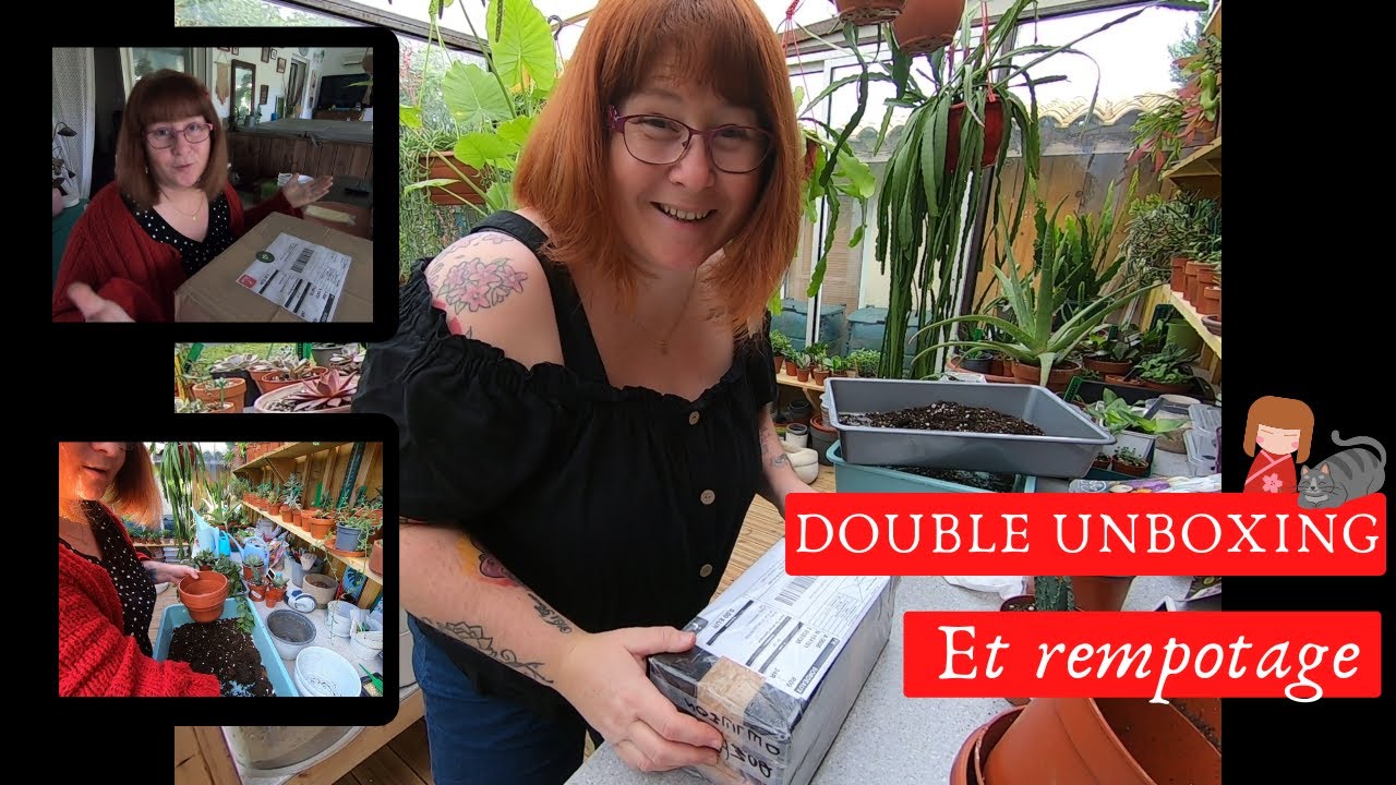 🌿DOUBLE  UNBOXING 🌿 Pas un mais deux colis à ouvrir _ et ON REMPOTE😉
