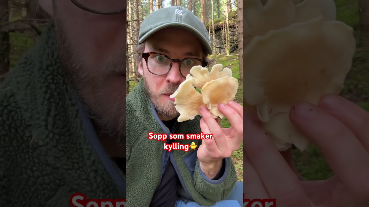 Har du spist &oslash;sterssopp f&oslash;r? #matinspo #sopp #diggmat