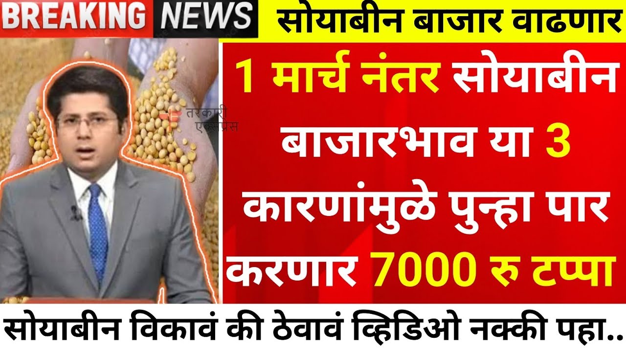 1 मार्च  नंतर सोयाबीन पुन्हा 7000 रु| soyabean bajar bhav today|soyabean bhav today