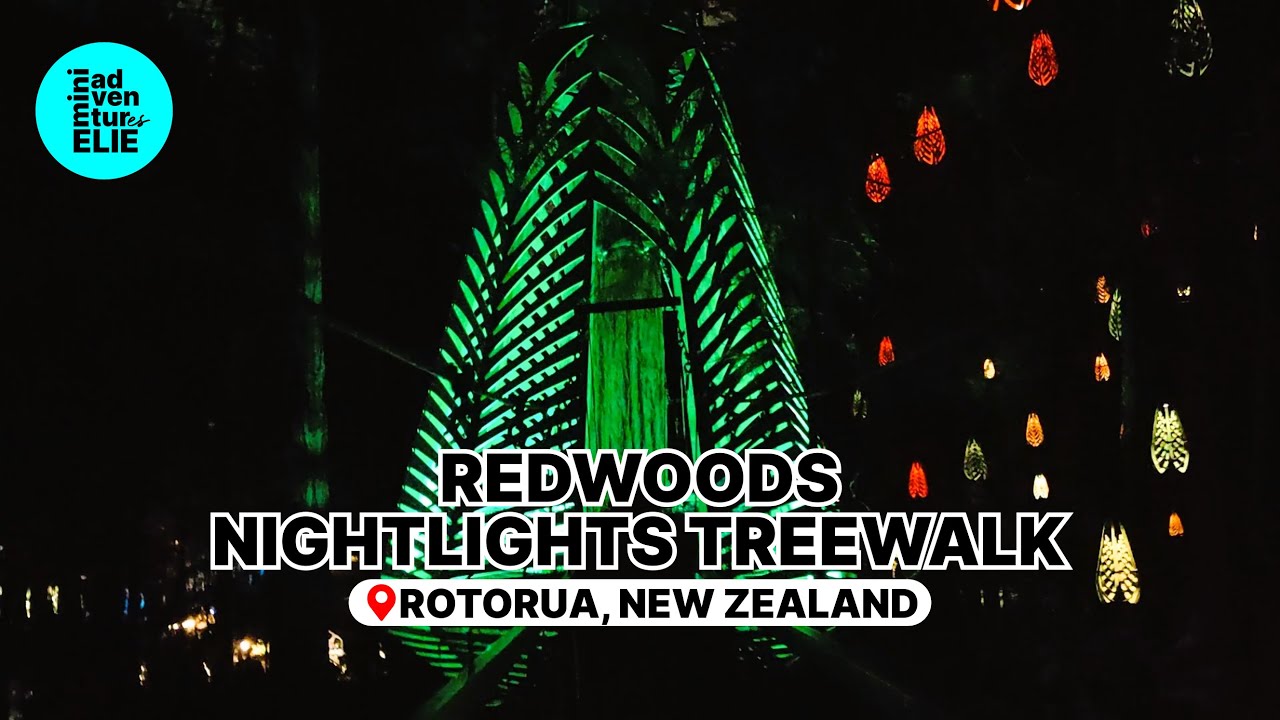 Rotorua's Must See Redwoods Nightlights Treewalk | Rotorua, New Zealand