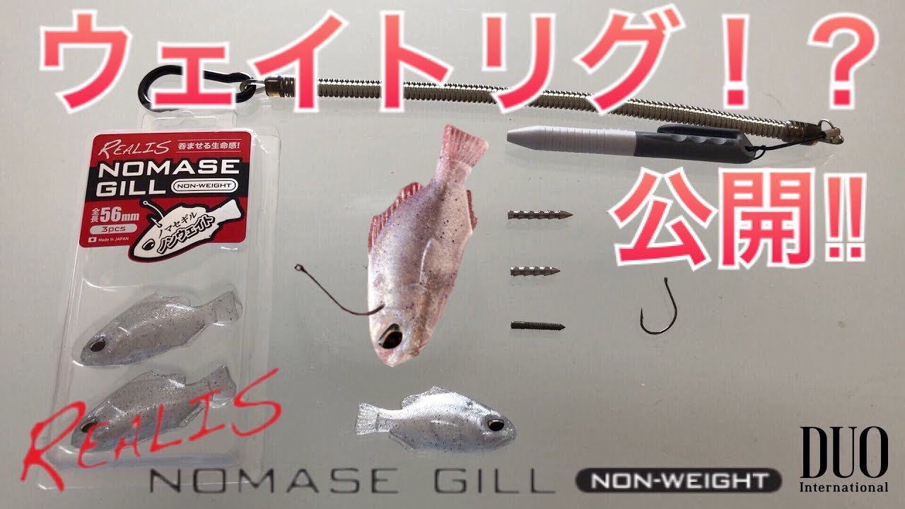 ウェイトリグを解説‼︎リトリーブ映像あり‼︎