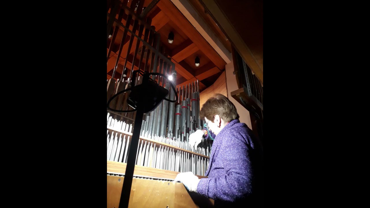 Órgano del Auditorio de San Juan