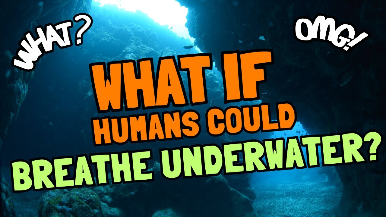 What if humans could breathe underwater? 🧜‍♂️🌊 | Ocean science for curious kids