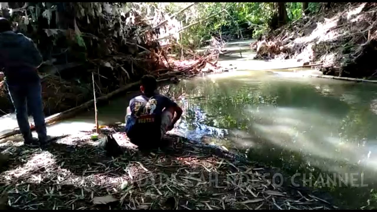 MANCING SIDAT DI SARANGNYA ULAR (SUNGAI PAPAH YOGYAKARTA)