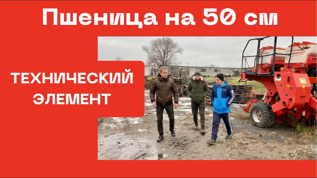 Пшеница с междурядьем 50 см | Почему 50 и выбор сеялки