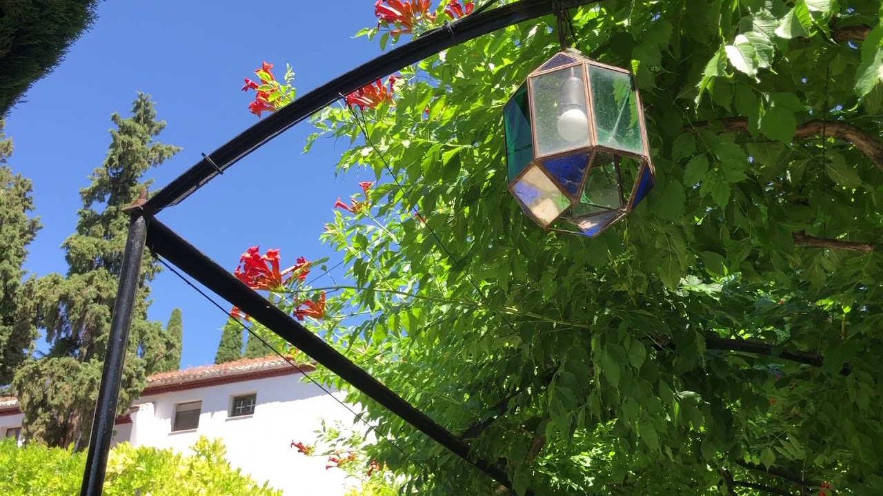 PASEANDO POR GRANADA: 