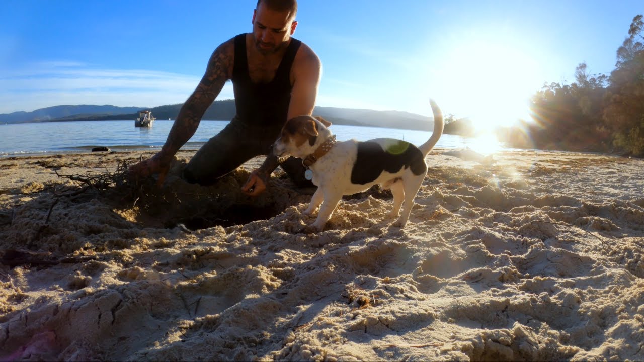 BRUNY ISLAND Beach Camp/Cook & Invasive STARFISH CLEANUP Blackmans Bay - Ep15