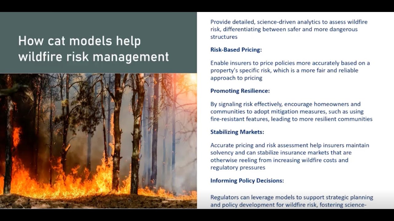 Wildfire Risk, CAT Modeling Insights, and 2026 Market Outlook - WLG Webinar 4 - 2025