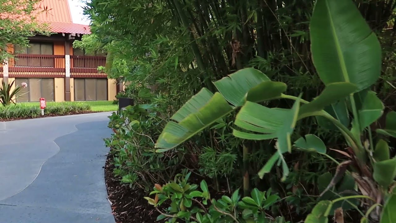 Walking from TTC to the Poly, July 2021