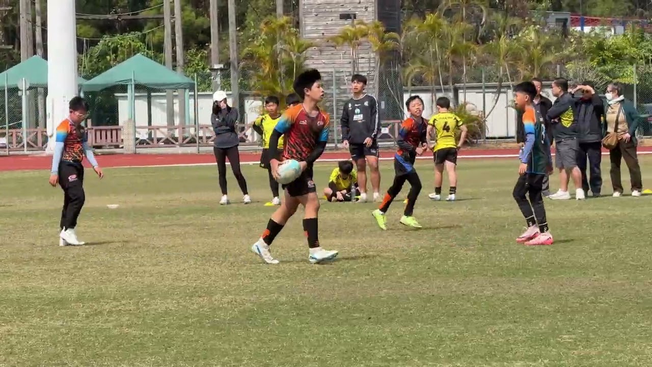 2026年2月8日
