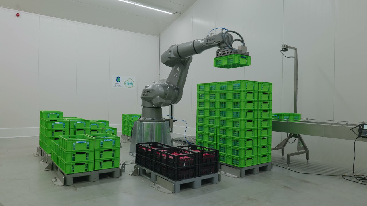Het werk van Supply Chain Manager: Mario Janssen (Ojah)