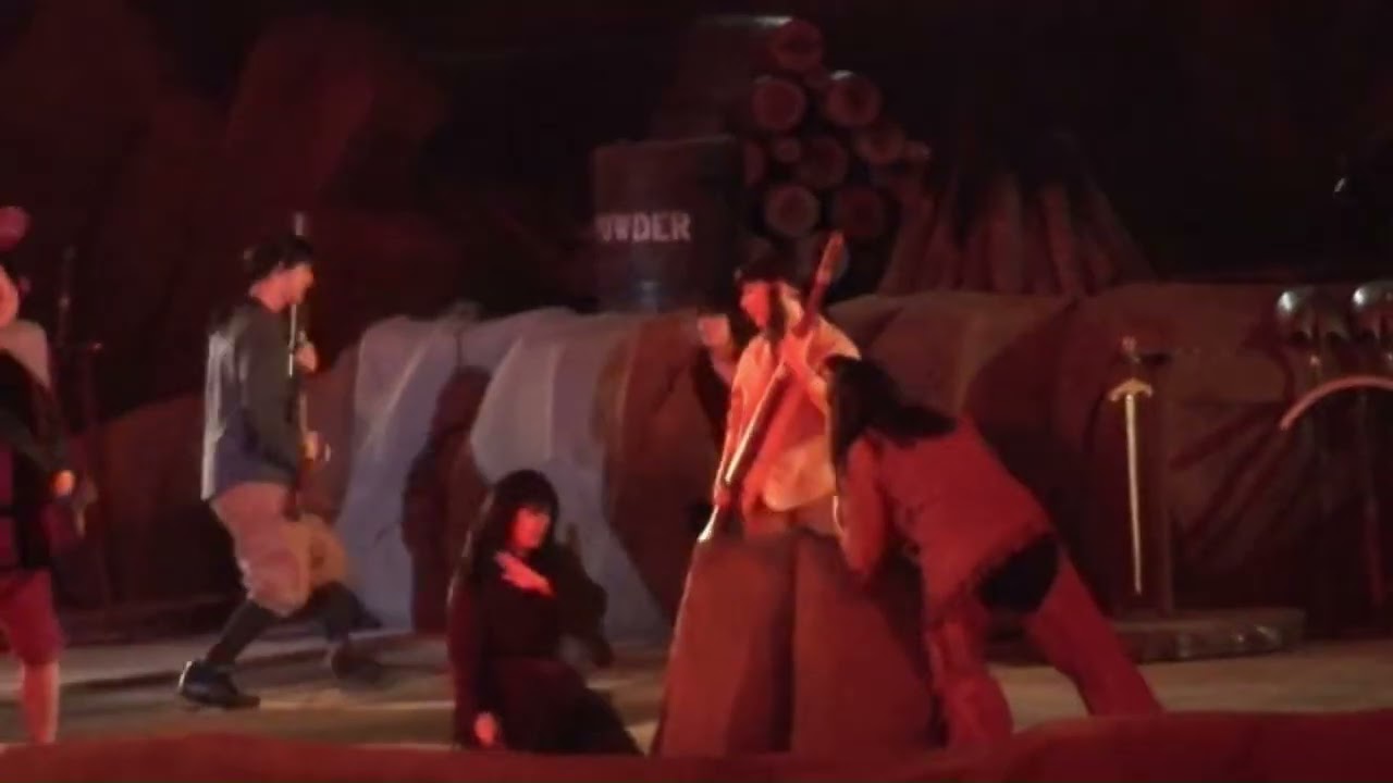 Fantasmic 2011 12 8