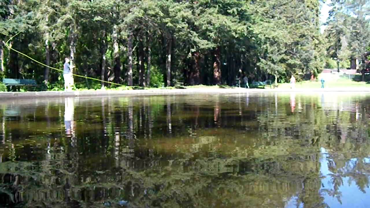 oakland casting ponds speycasting