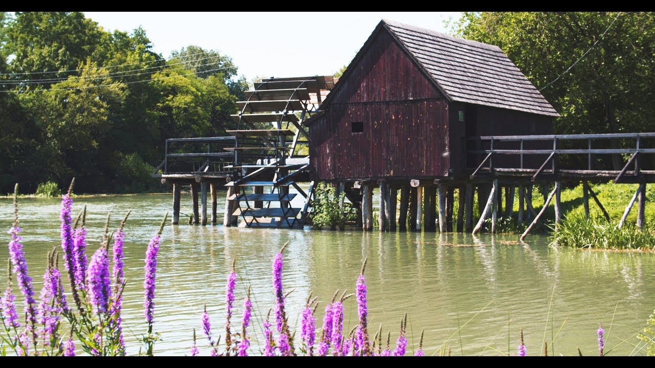 The charm of the Danube islands