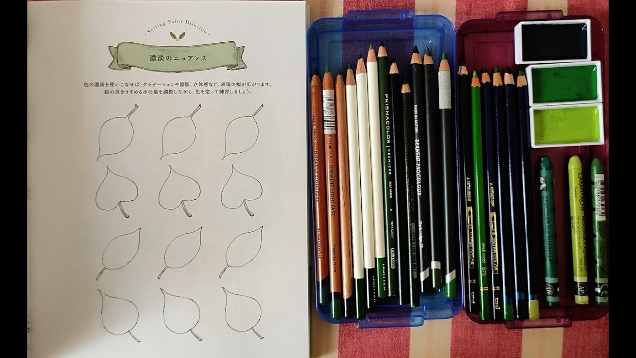 Aeppol's Forest Girl's Coloring Book Flip-thru |Swatching Different Art supplies |#adultcolorbook