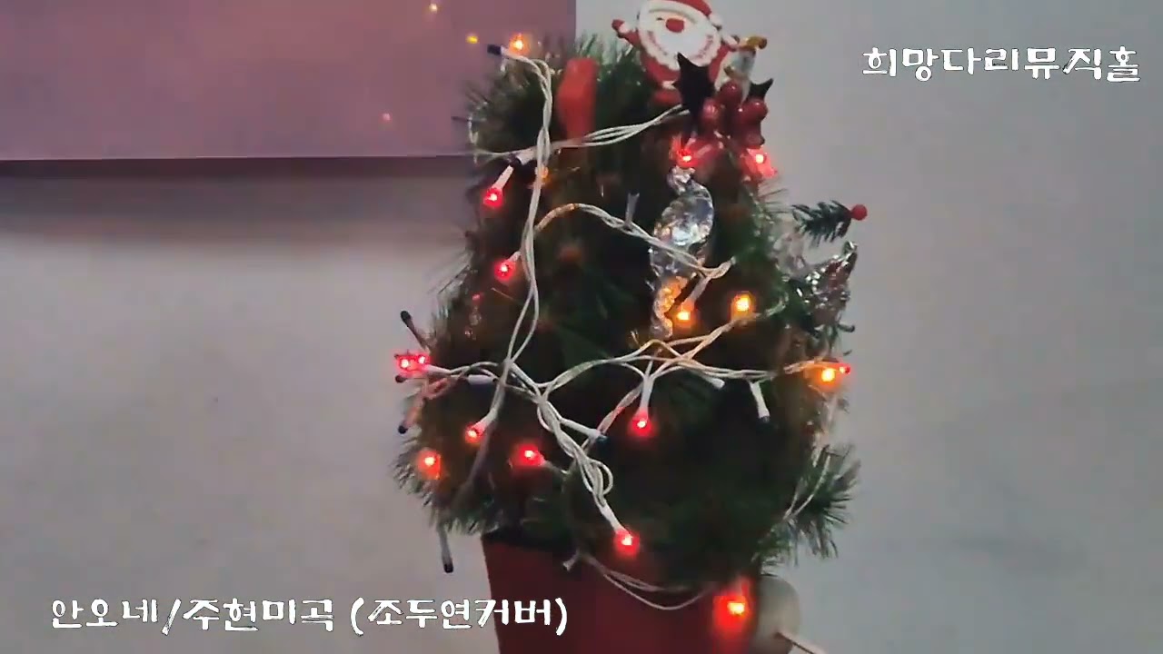 안오네,주현미곡#조두연커버###새해 연습곡으로 가수님들과 함께~희망다리뮤직홀// 2026.01.30