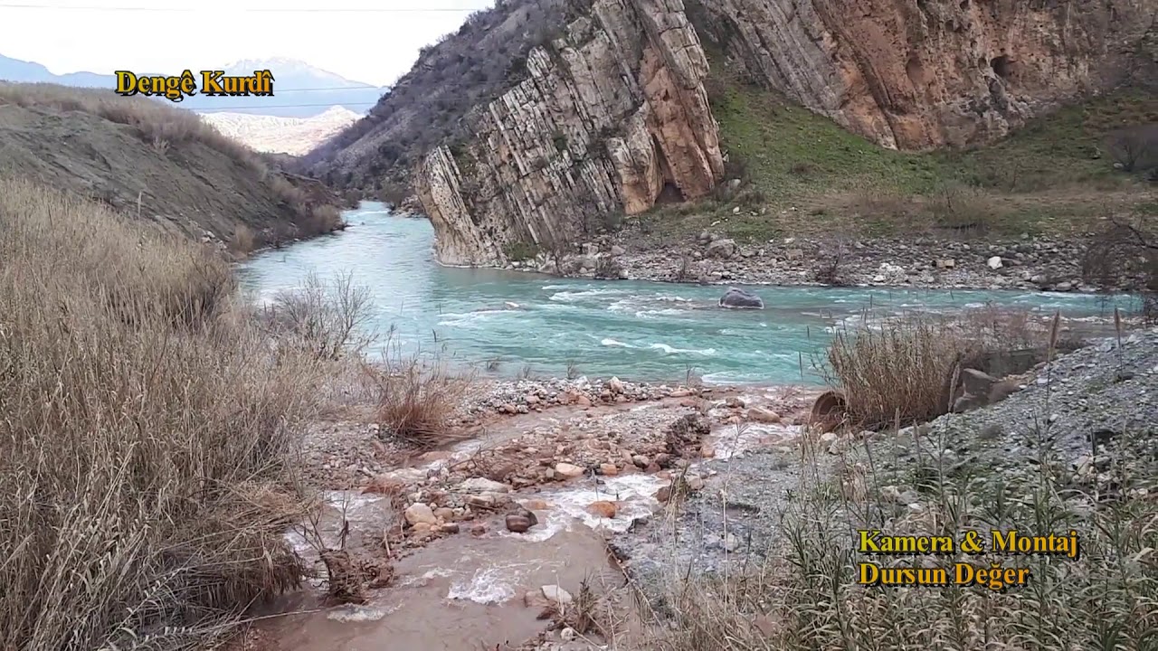 Helbest  Feqiyê Teyran Awaz  Incîl Selçuk Îro ji dest hûsna hebîb