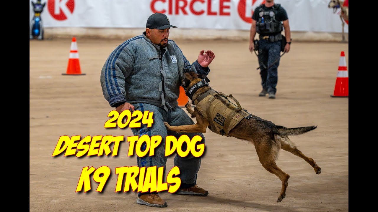 Intense K9 Action at 2024 Phoenix Top Dog Trials | Exclusive Interview with Phoenix PD's Daniel