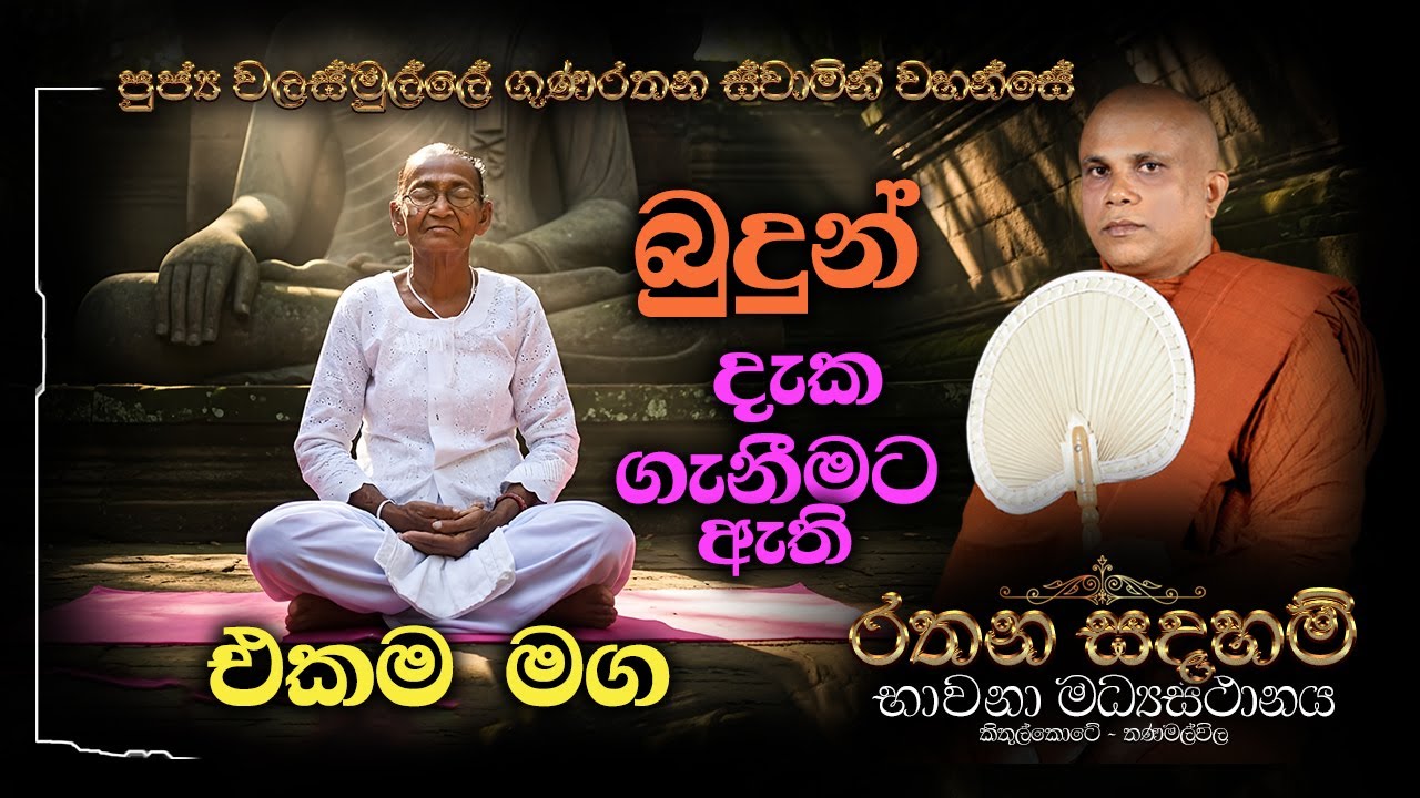 Ven Walasmulle Gunarathana Thero - බුදුන් දැක ගැනීමට ඇති එකම මග.