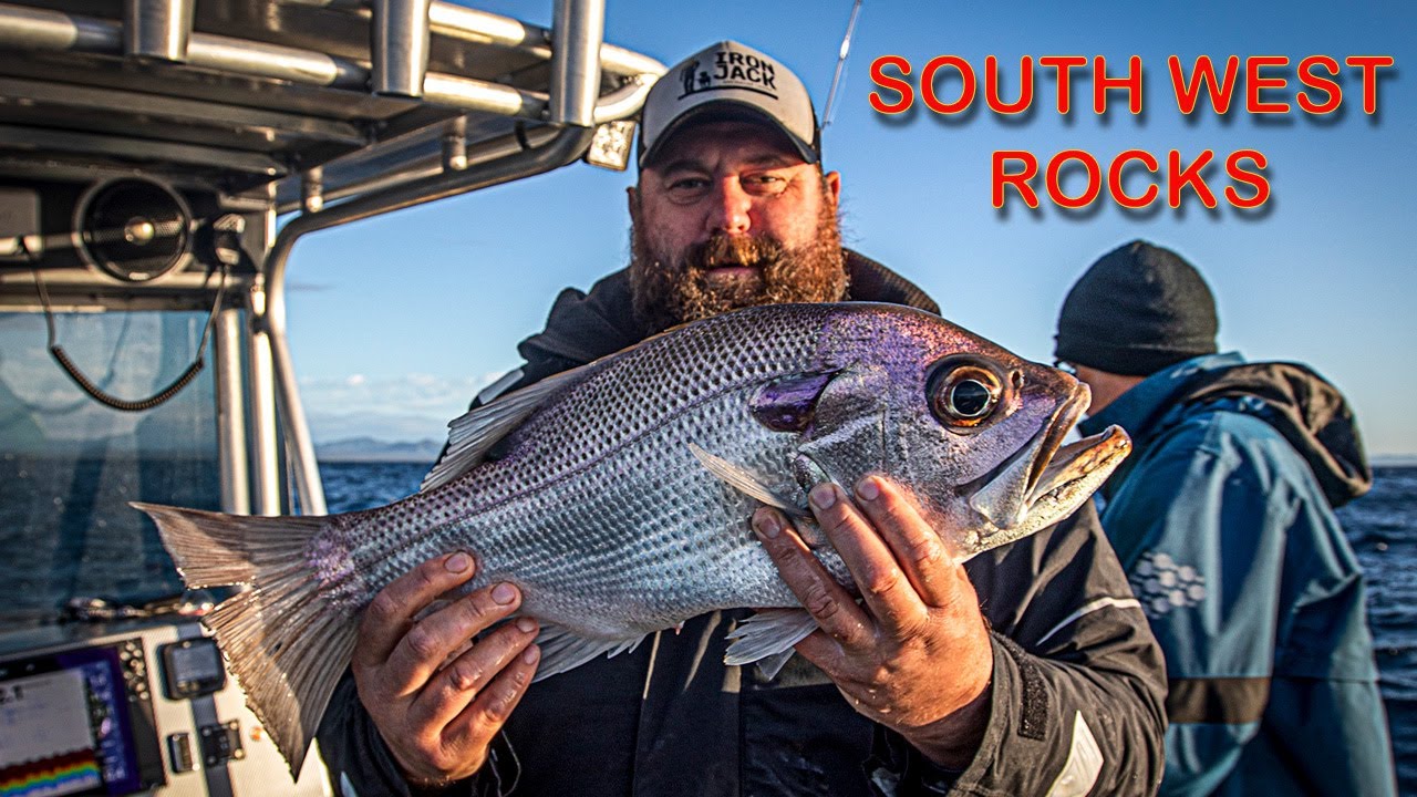 South West Rocks Pearl Perch, Snapper and Tuskies