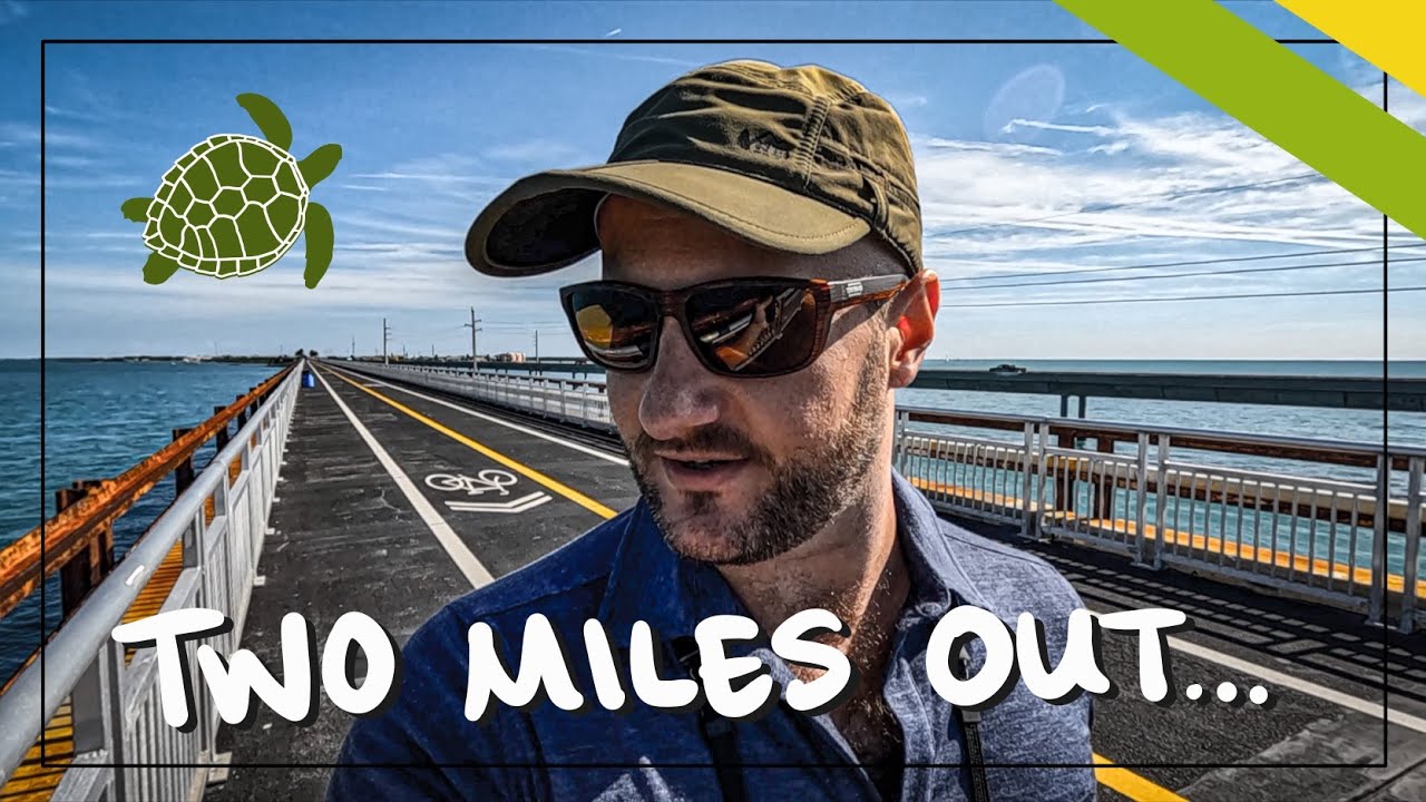 What It's Like On the Old 7-Mile Bridge | Sharks, Rays, SEA TURTLES!